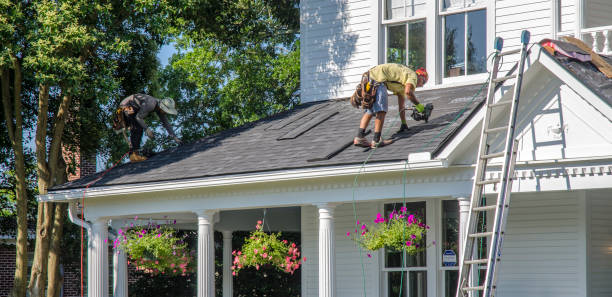 Best Roof Moss and Algae Removal  in Nikiski, AK